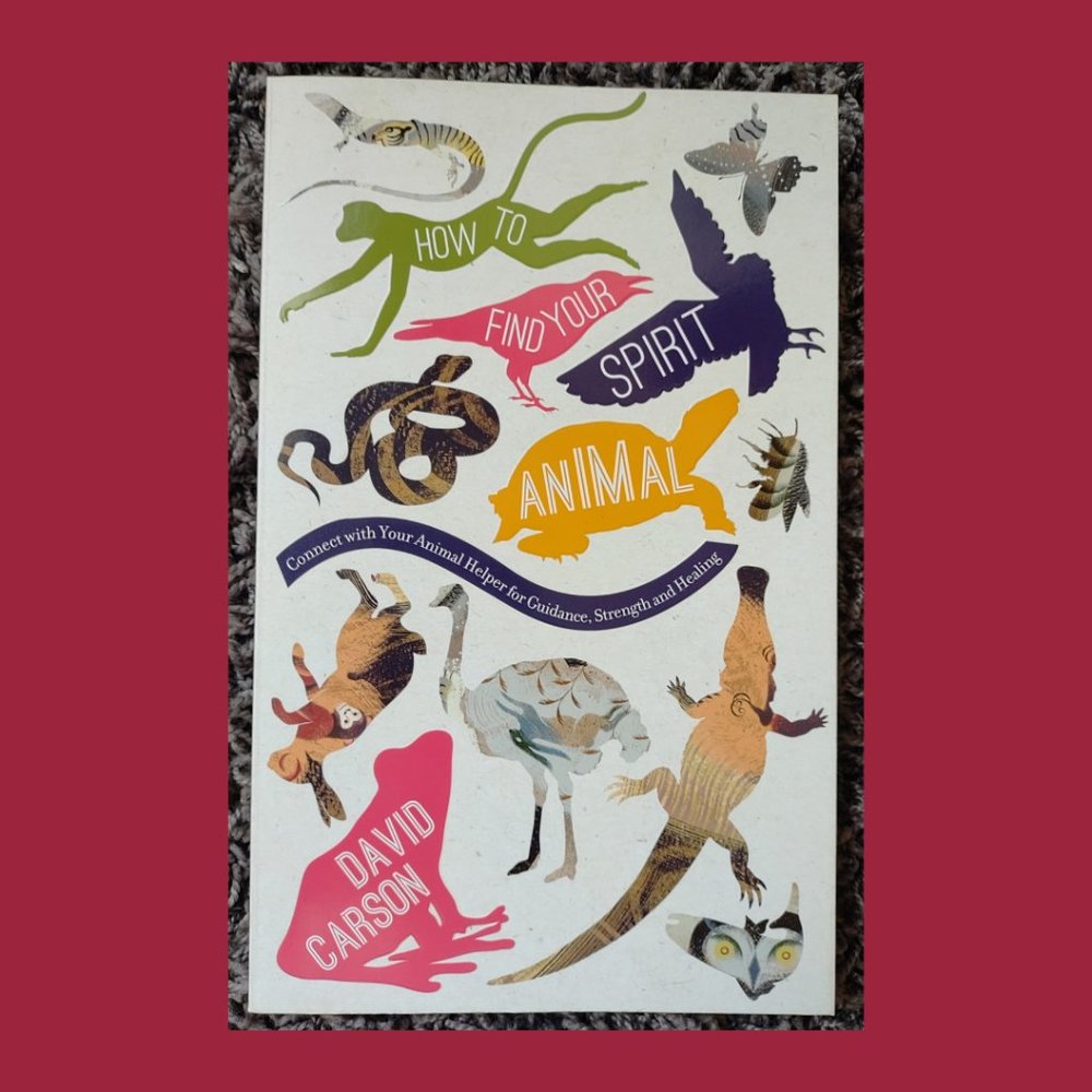 How to Find Your Spirit Animal Book by David Carson